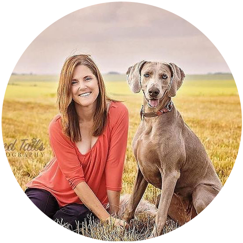 tilted-barn-pet-kim-good